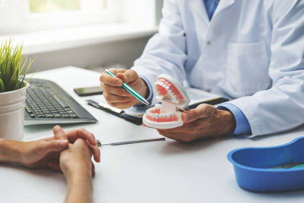 Best Preventive Dentistry  in San Antonio, FL
